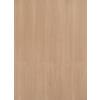 Furnierstarkkanten Buche gedämpft